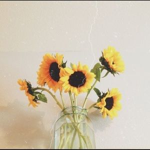 Meet your Posher, Christy